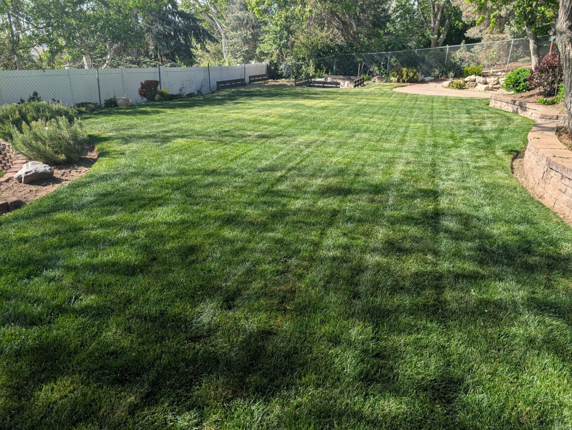 Freshly mowed backyard lawn with crisp diagonal mowing lines in Centerville, Utah